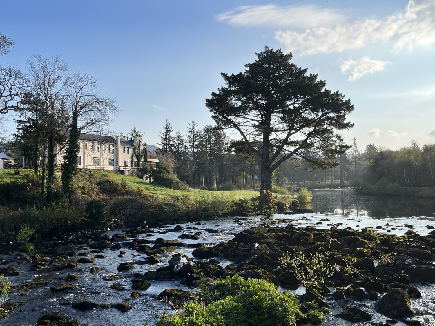 Here’s a morning pic of one of our accommodations in Killarney National Park.