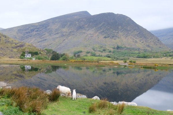 The quiet splendor of the Black Valley