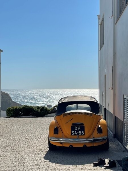 Beetle in Zambujeira do Mar